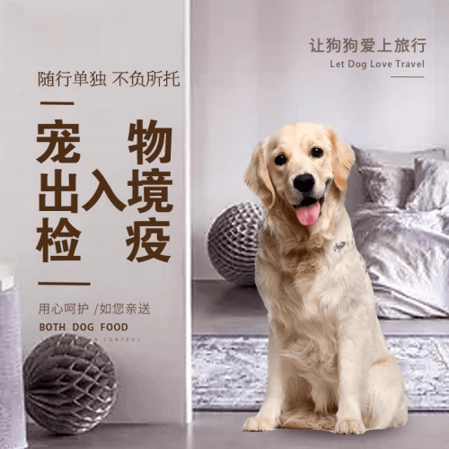 阜阳宠物托运到哥伦比亚猫狗宠物入境规定和
