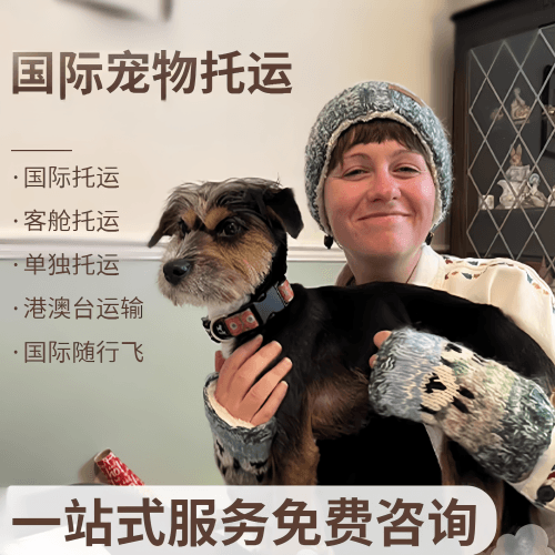 阜阳国际宠物托运到阿根廷宠物入境规定和要