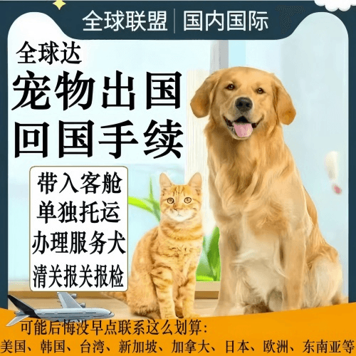 阜阳宠物托运到柬埔寨宠物入境规定和要求