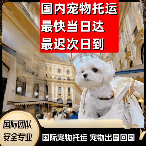 阜阳到澳大利亚（澳洲）宠物入境规定和要求