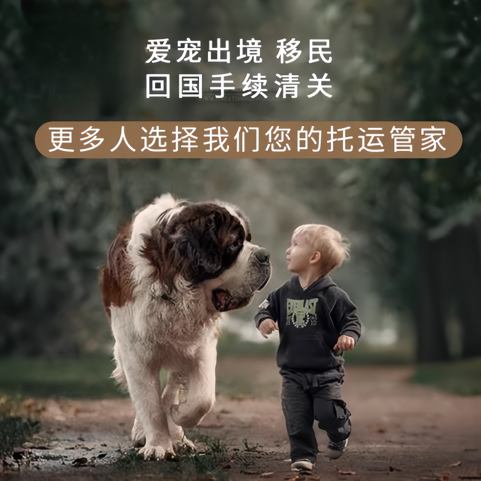 满财阜阳宠物全球达宠物托运在遵守入境目的地政策的条件